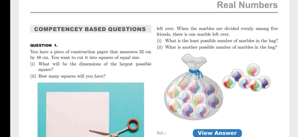 Competency based questions Class 10 Maths 