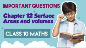 Important Questions for Class 10 Maths Surface Areas and Volumes