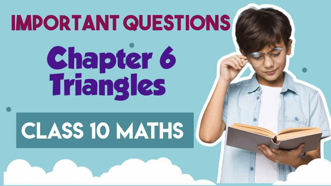 Important Questions for Class 10 Maths Triangles