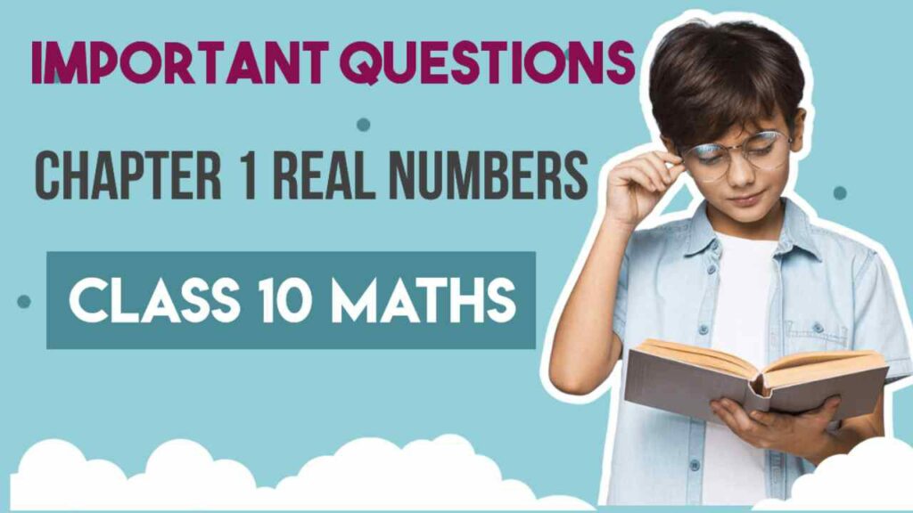 Important Questions for Class 10 Maths Real numbers

