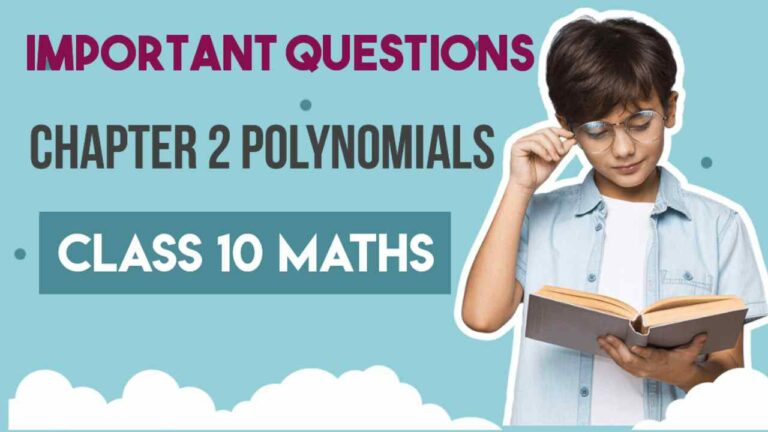 Important Questions for Class 10 Maths Polynomials