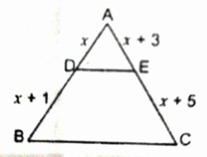 Important Questions for Class 10 Maths Triangles

